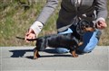 BIM KD Uddevalla -26 DSC_1201.JPG