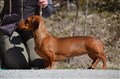 BIM KN Uddevalla -26 DSC_1221.JPG