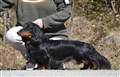 BIM LN Uddevalla -26 DSC_1298.JPG
